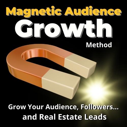 Magnetic Audience Growth Method by MMT Media Florida